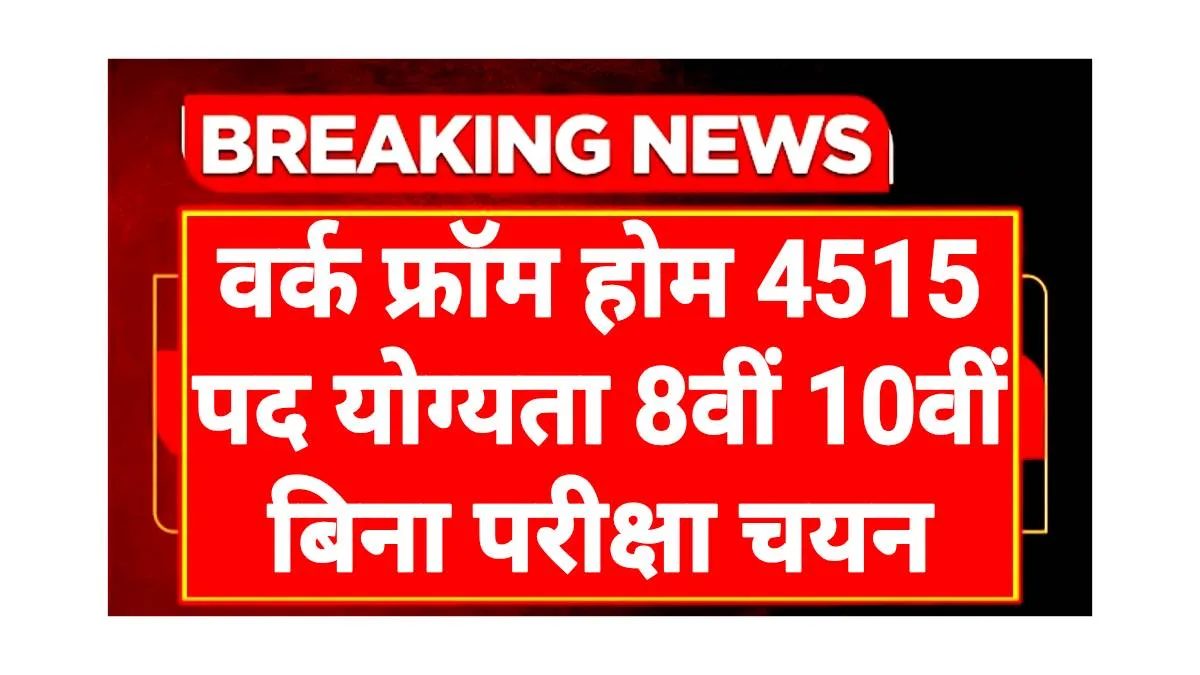 Mahila Work From Home Scheme